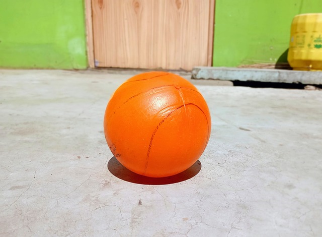 的巨大潜力 的巨大潜力