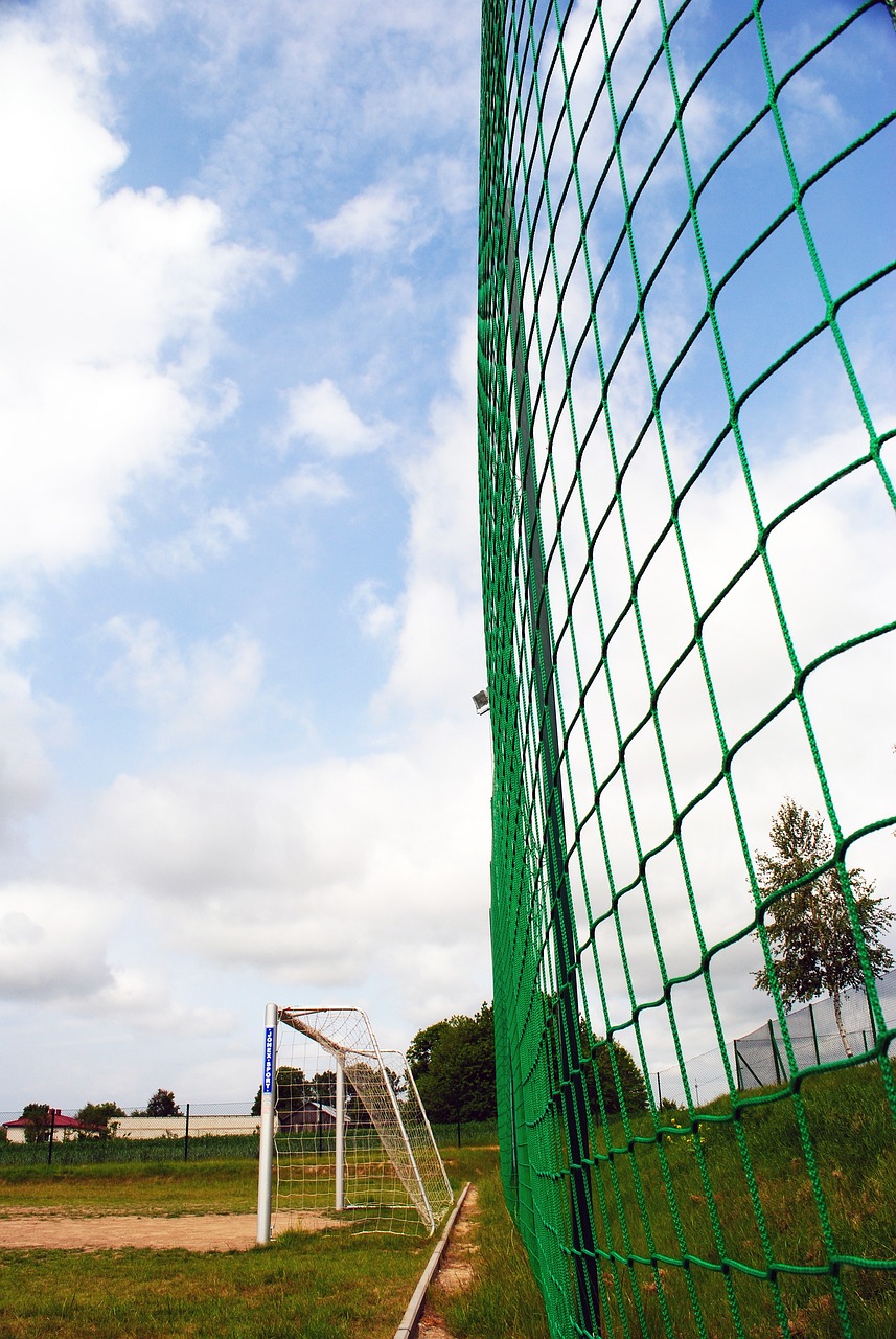 阿莱格里的 阿莱格里的