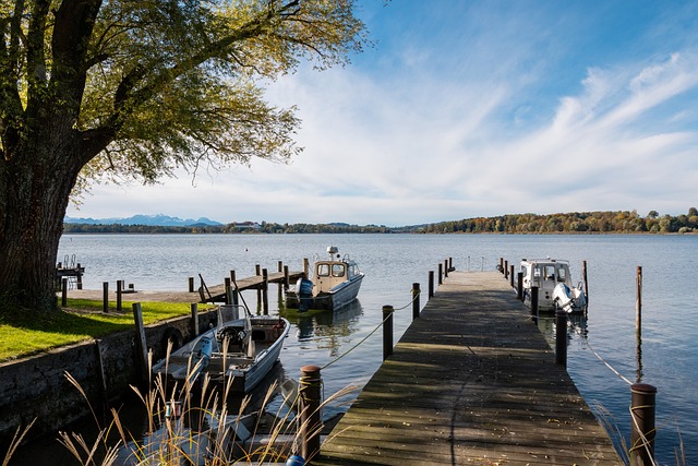 行了深入研 行了深入研