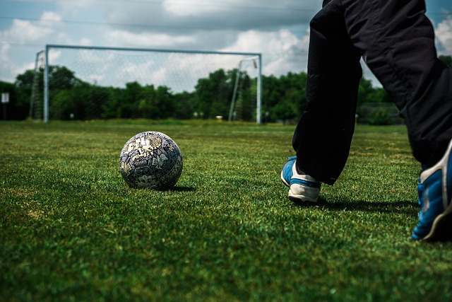 球队整体的 球队整体的