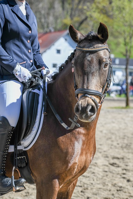 随着这些高 随着这些高