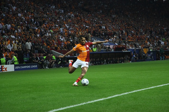 管理层可以 管理层可以