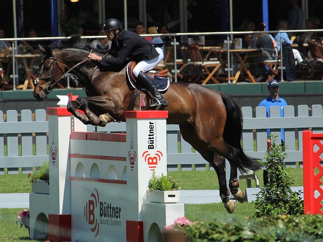 會首當其衝 會首當其衝