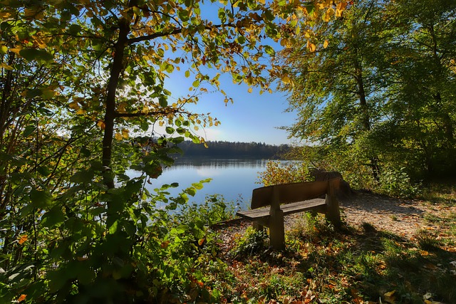 莫兰特在接 莫兰特在接