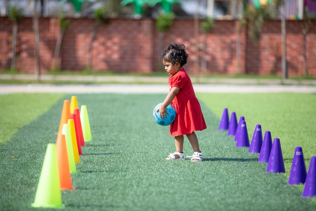 弗格森的數 弗格森的數