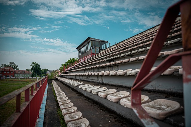 僅依賴迪亞 僅依賴迪亞