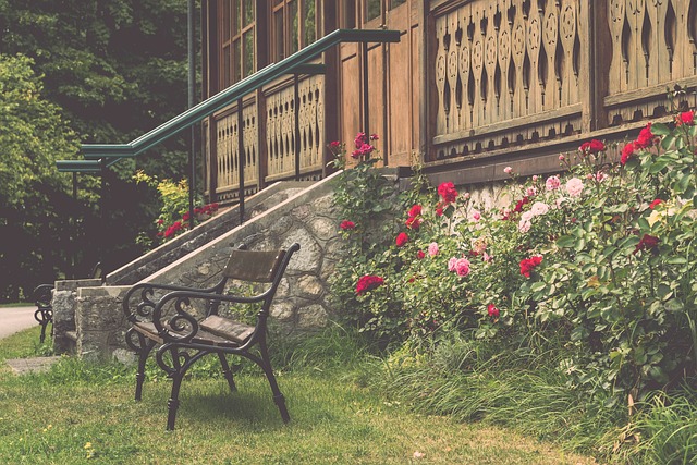 力量的蓬勃 力量的蓬勃