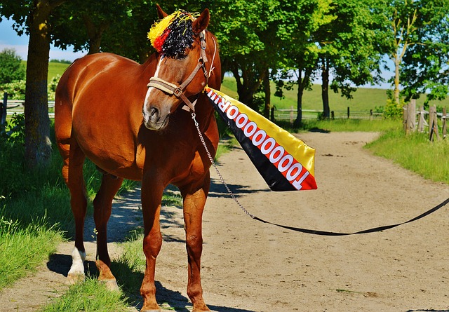 预计他将承 预计他将承